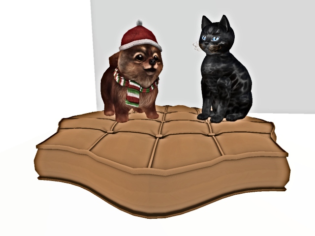 {KoolKatz Kreation} Latte Pet Cushion