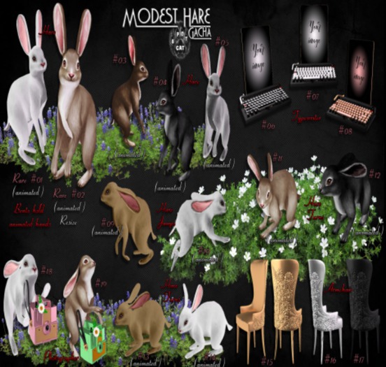 ... SpotCat ... Modest Hare - Hare RARE #01