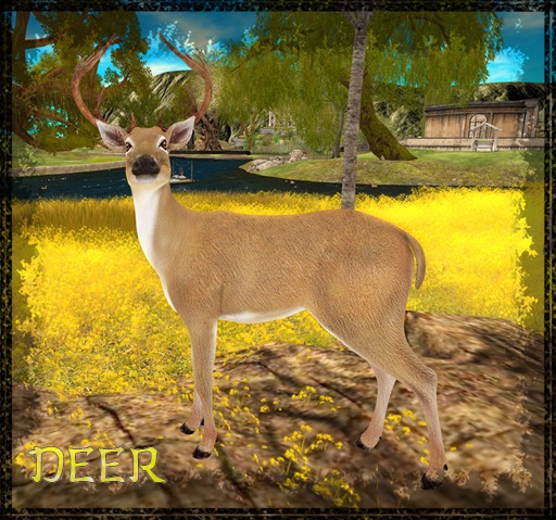*MD* Deer mesh