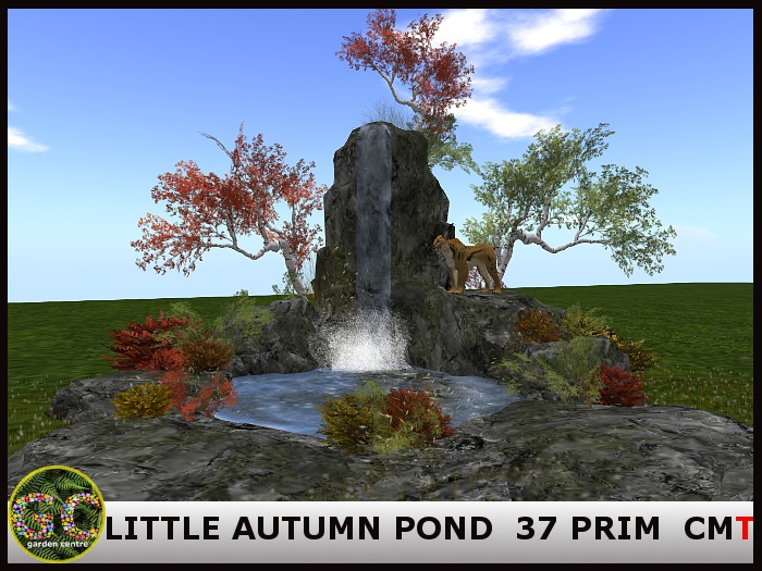LITTLE AUTUMN POND PACKED