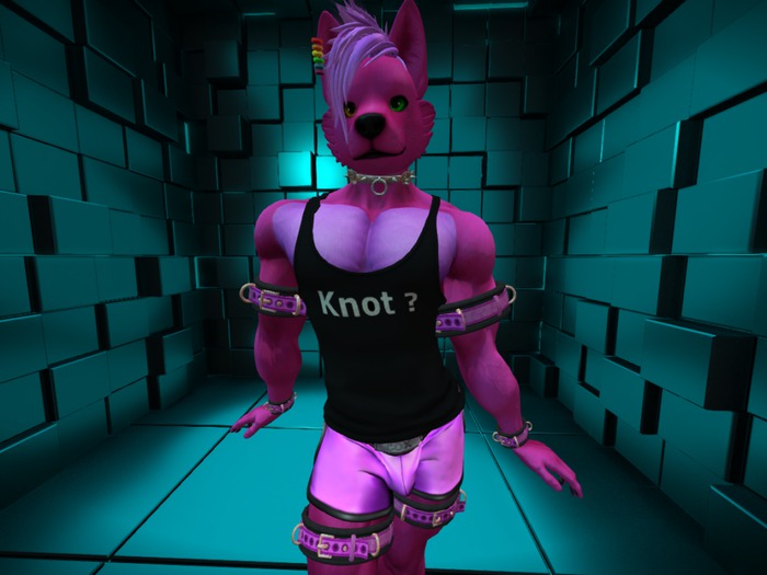 Knot? Tanktop Aesthetic