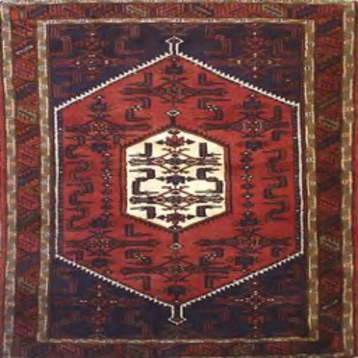 GP Carpet 37