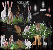 ... SpotCat ... Modest Hare - Armchair #16