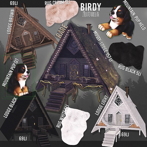 Birdy - Autumn - Mountain pup Sat