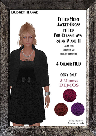 Jacket/Skirt 2 Piece (Paisley) DEMOS