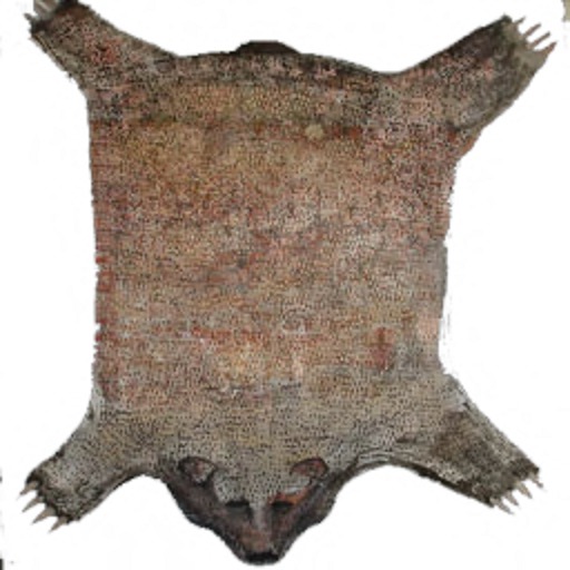 GP Rug Bear Skin 1