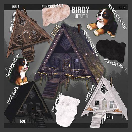 Birdy - Autumn - Faux Shaggy rug - White