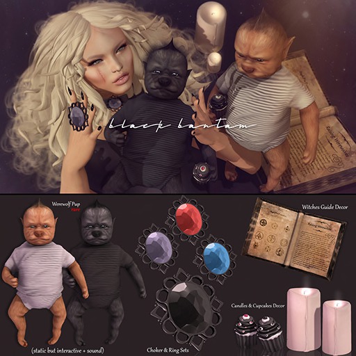 *[Black Bantam] The Witches Guide Book Decor