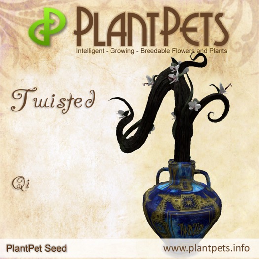PlantPet Seed [Twisted *Qi*] RARE ELITE