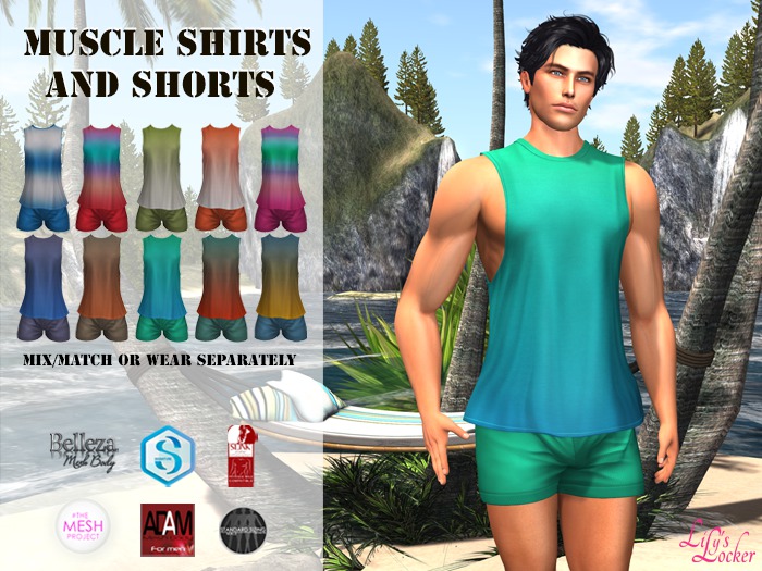 LL - DEMO Muscle Shirts and Shorts 