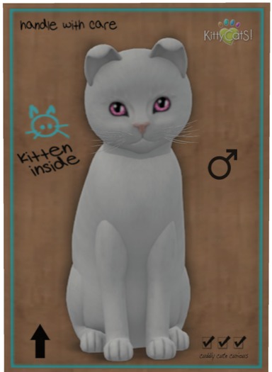 KittyCatS Box - Russian - White