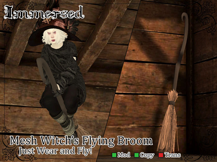 .:I:. Witch's Broom (Held)