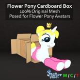 [Jester Inc.] Flower Pony Cardboard Box! - BOXED