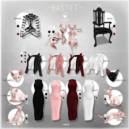 -Pixicat- Bastet.Sphynx - White (Head)