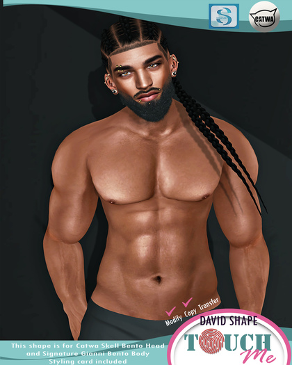 Touch'Me Catwa David Shape ( Signature & Catwa Skell )