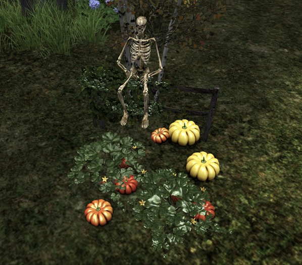 Pumpkin Patch-Pumpkins-SUPRISE