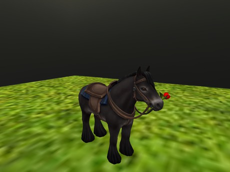 Second Life Marketplace - Horse Tipjar 3 (MP)