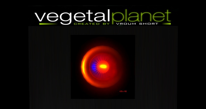 [VP 19 Box]  SOLAR 13 vroum Short