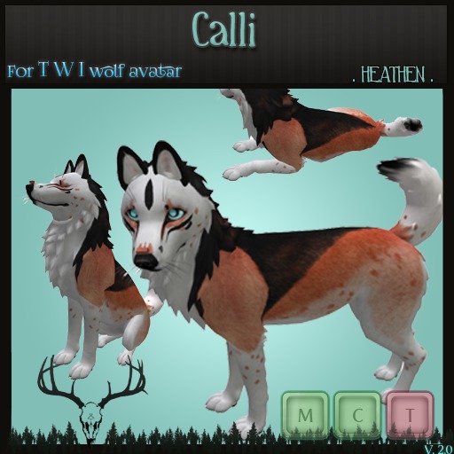 [-. HEATHEN .-] -   TWI - Calli
