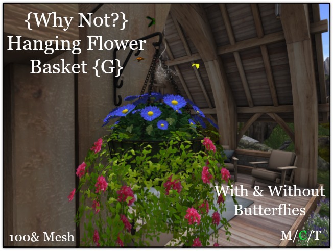 {Why Not?} Hanging Flower Basket {G} -Boxed