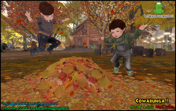 ! Whippersnappers ! - Cowabunga!