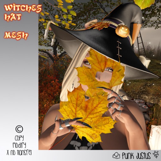 witches hat by Punk JUSTUS