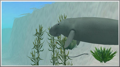 Second Life Marketplace - 71001 manatee