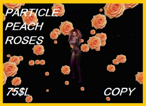 PARTICLE PEACH ROSE