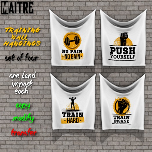 Training Wall Hangings Bundle
