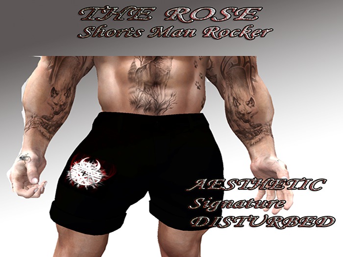 Shorts Aesthetic - DISTURBED ::