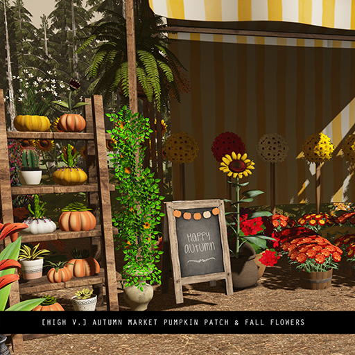 [high v.] fall pumpkin patch & autumn market chubby pack