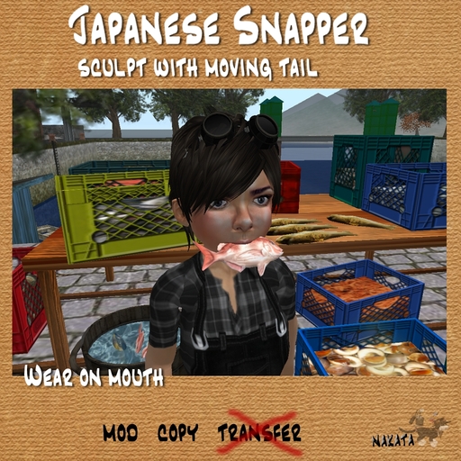 japanese snapper / boxed