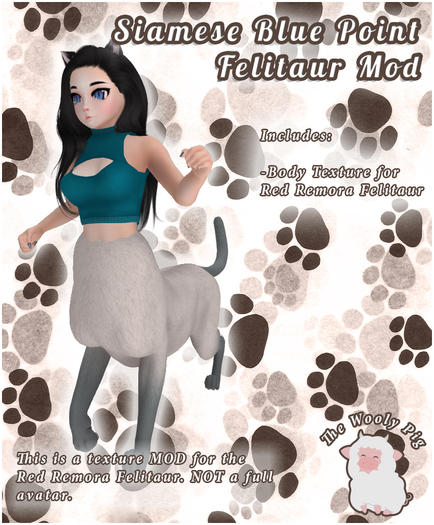 [WP] Siamese Blue Point RR Felitaur