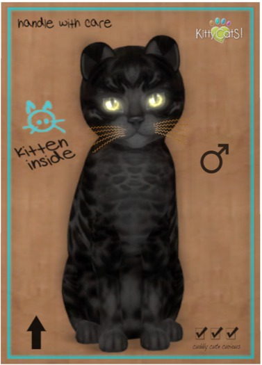 KittyCatS Box - Bengal - Black