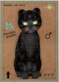 KittyCatS Box - Bengal - Black