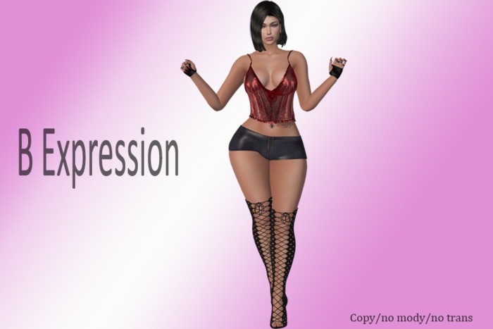 B Expression stand#3 Pose bento - BOX