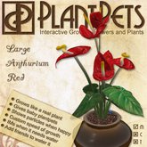 PlantPet Seed [Large Anthurium *Red*]