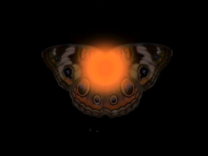 ME! Manic Elf Fall Pixie Avatar- Emperor Moth