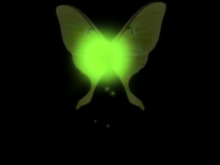 ME! Manic Elf Fall Pixie Avatar- Luna Moth