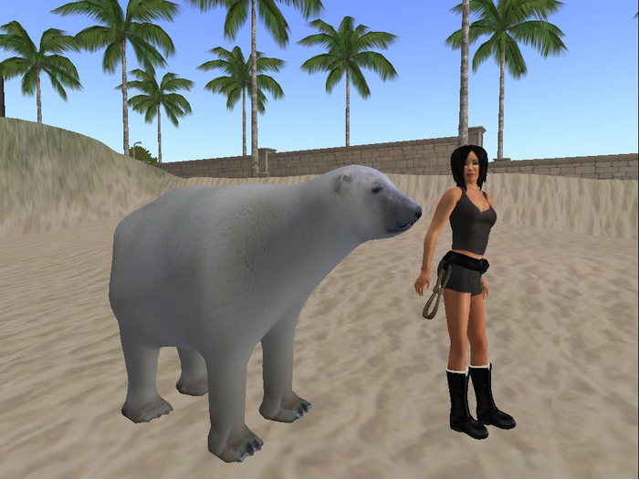 bear white polar mesh