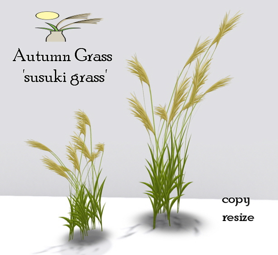 Autumn Grass SUSUKI  BOX