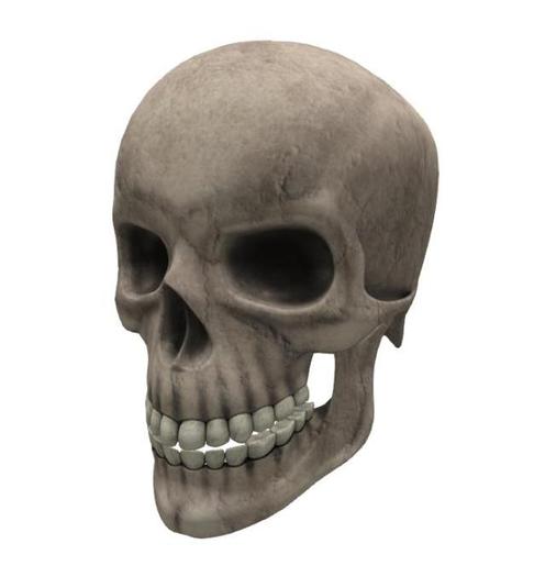  Mesh Skull (Limited Quantities) 