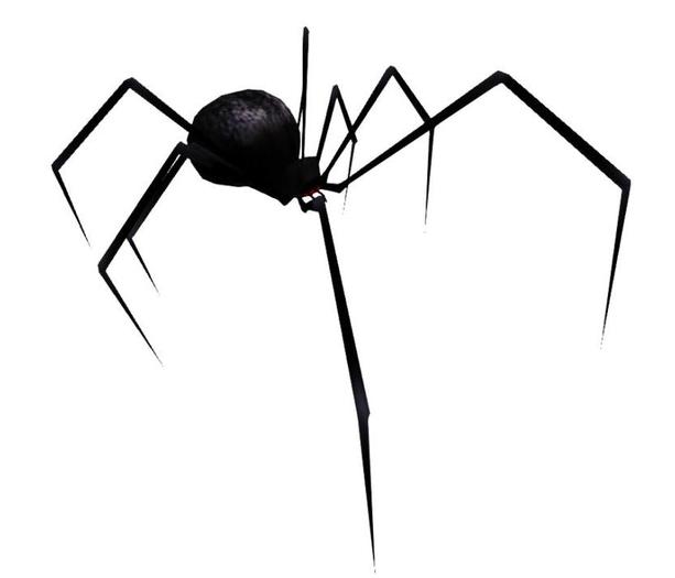 Mesh Black Spider (Limited Quantities)