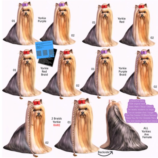 *[BB] Best in Show Yorkie 2 Braids 02 Red RARE