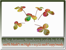6 Big Autumn Strawberry Leafes by Felix 1m High=0.5 Li each c/m
