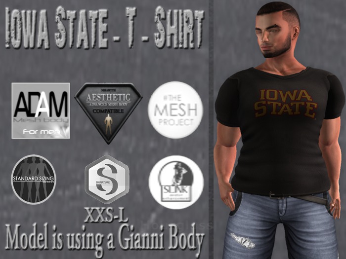 Iowa State - Men's Grey T-Shirt