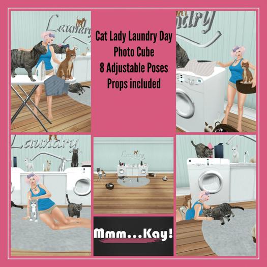 Mmm...Kay! Cat Lady Laundry Day