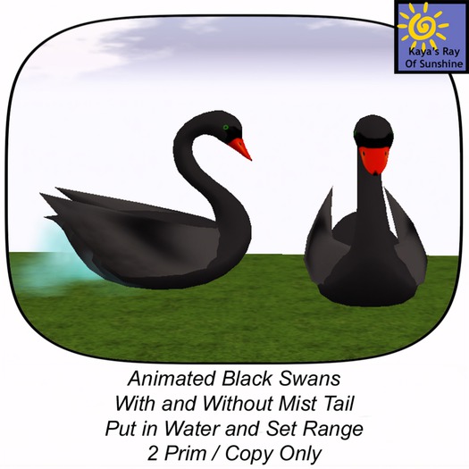 Black Swan   BOX