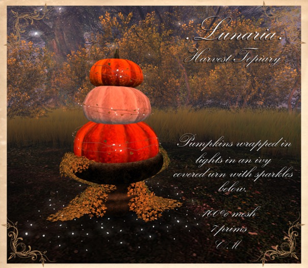 .Lunaria. Harvest Topiary 