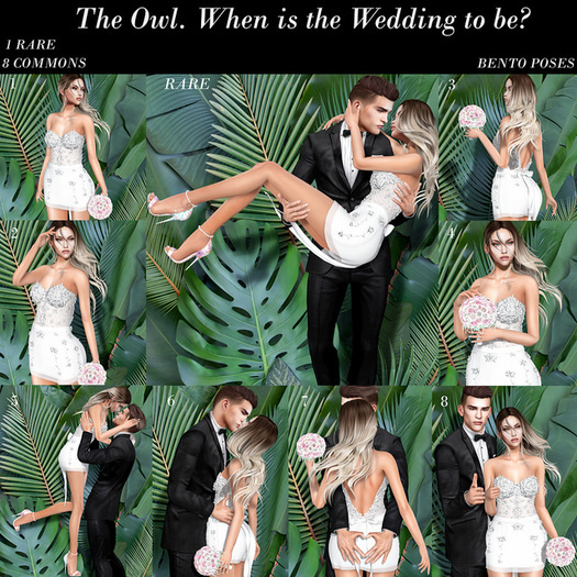 The Owl. When is the Wedding to Be? 3